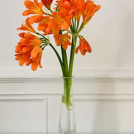 St Michael Liston Apartament *